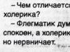 Кто такой флегматик: описание темперамента