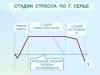 Восстановить организм после длительного стресса